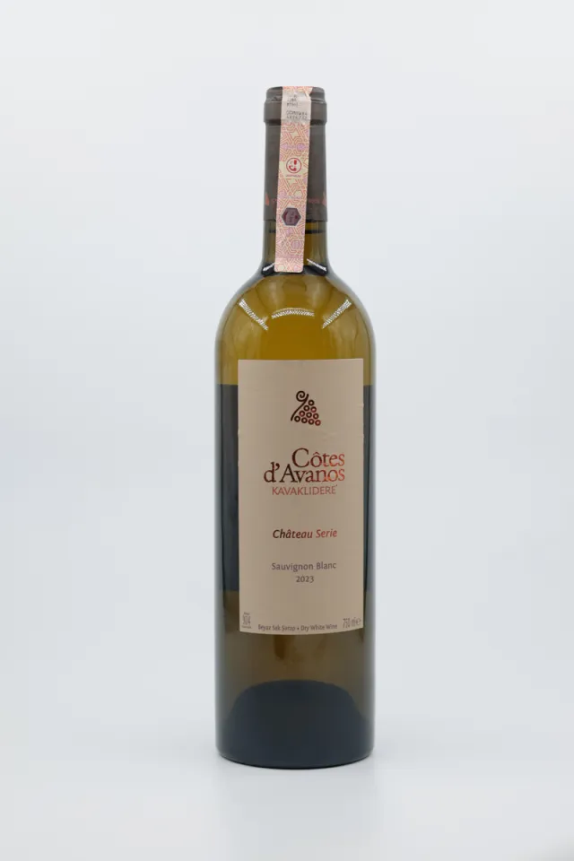 Cotes Savingnon Blang